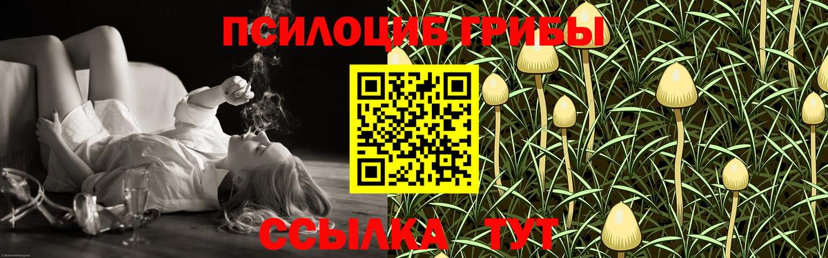 Волоколамск  Галлюциногенные грибы Magic Shrooms  Вход с VPN 