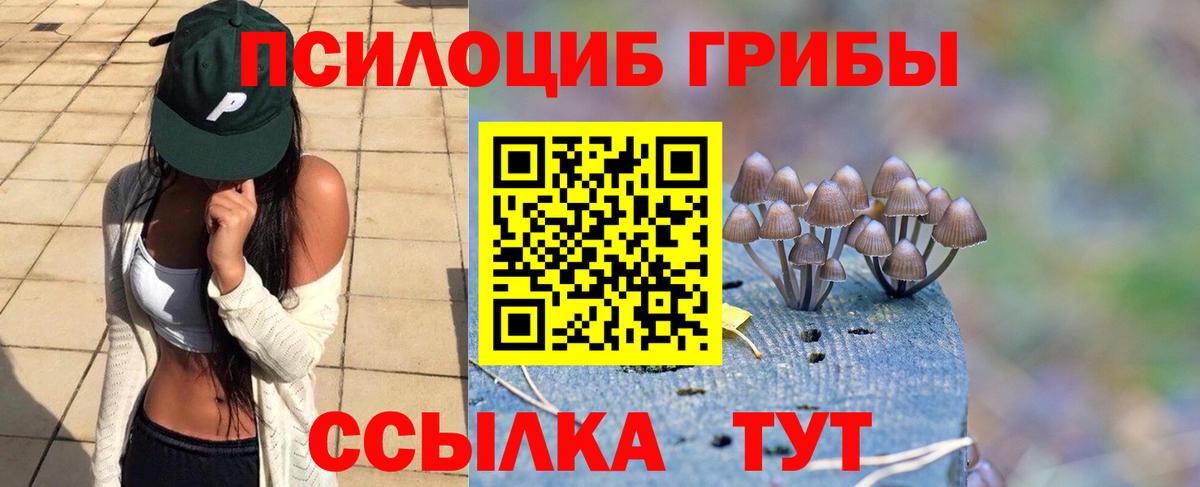 Галлюциногенные грибы ЛСД Волоколамск